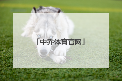 「中乔体育官网」中乔体育logo