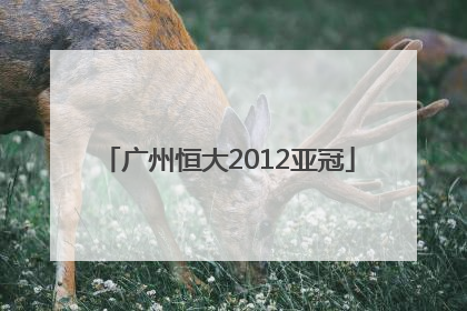「广州恒大2012亚冠」广州恒大2012亚冠对伊帝哈德次回合宣传片